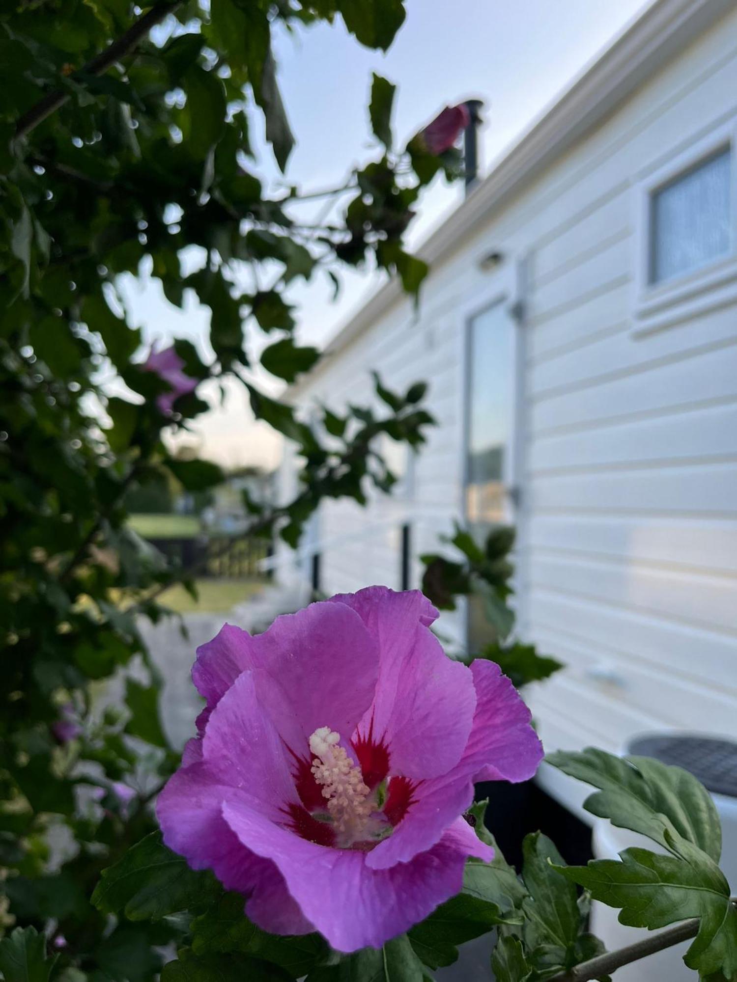 Eldorado Aan Zee Villa Petten Luaran gambar