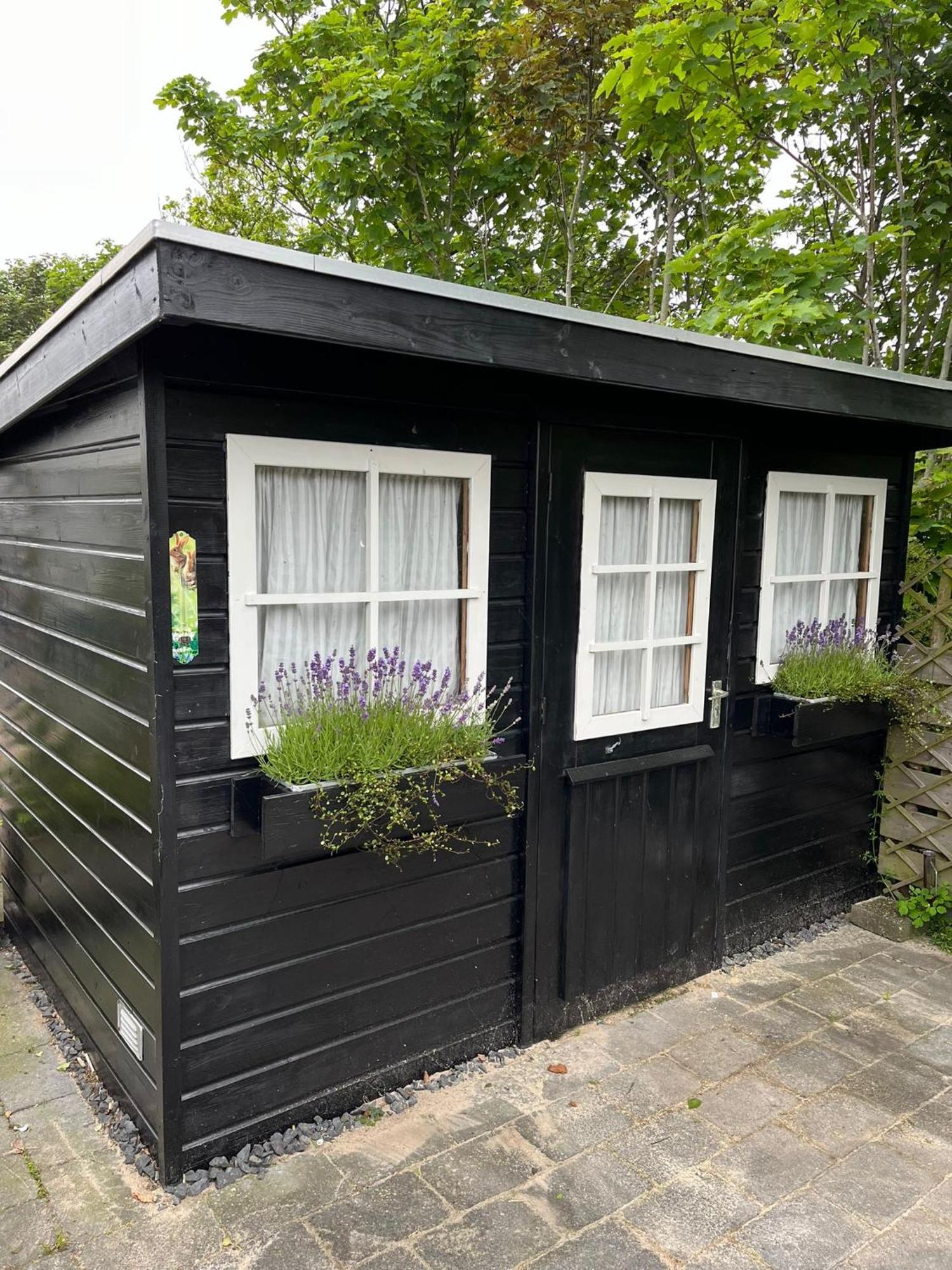 Eldorado Aan Zee Villa Petten Luaran gambar